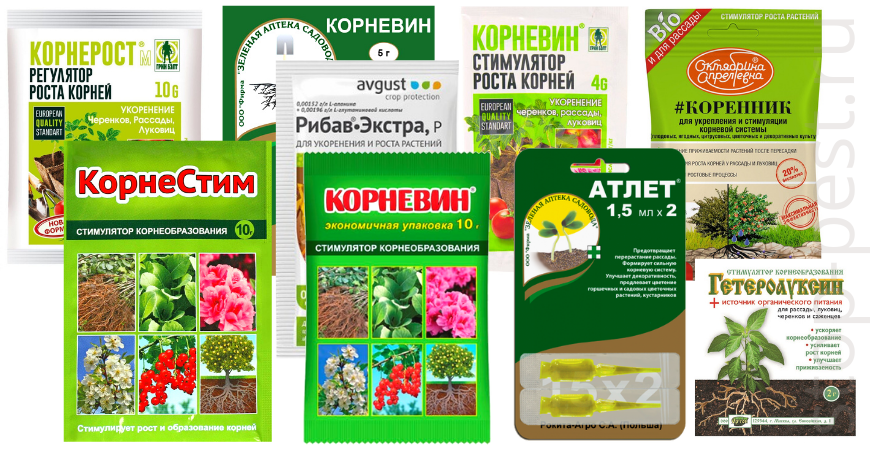 Удобрение