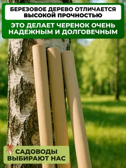 Черенок д/лопат d 40 дл.150 выс. сорт
