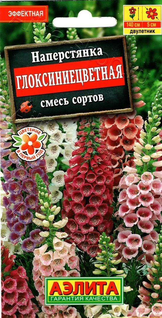 Наперстянка глкксиния цветная