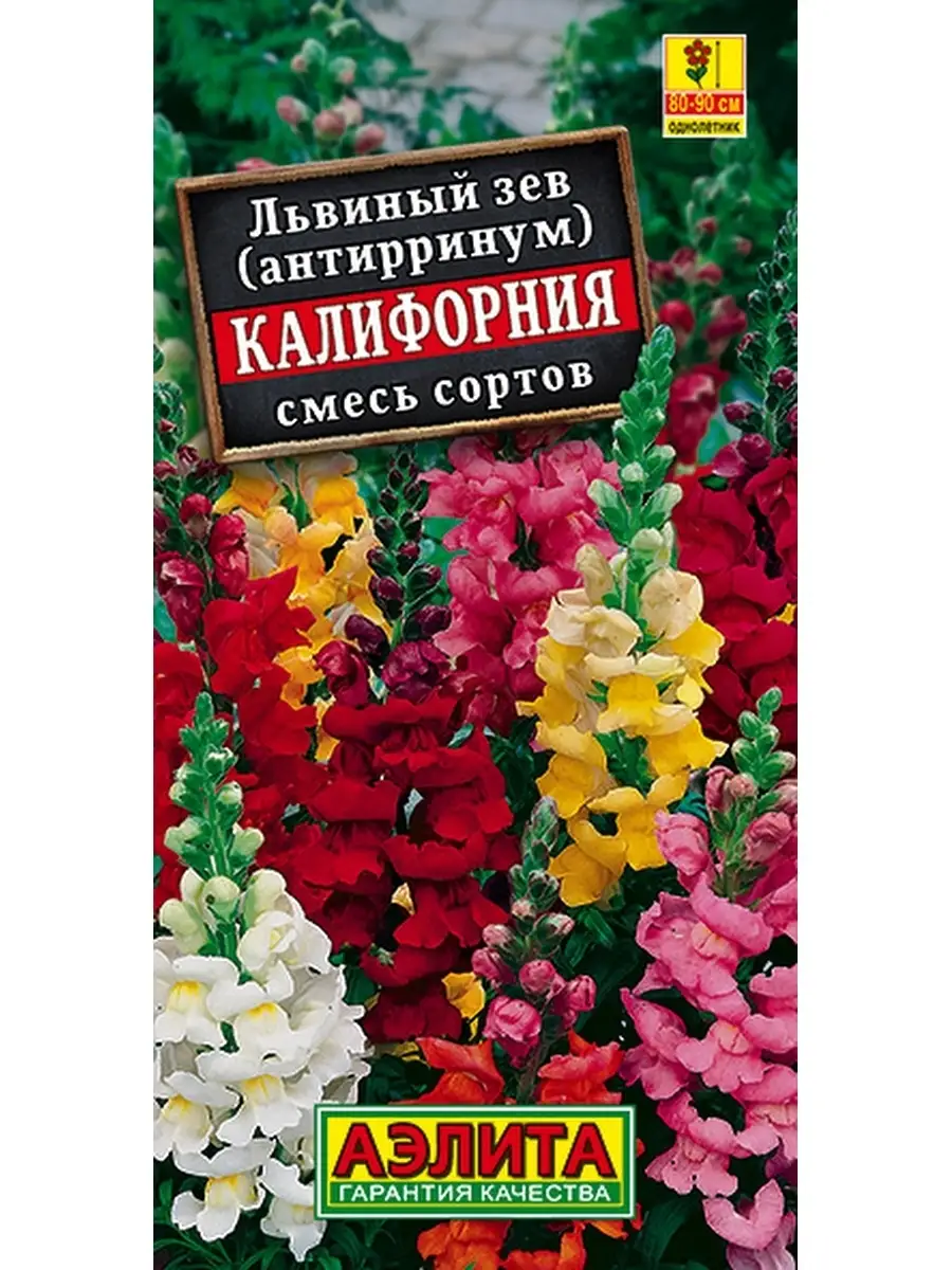 Львиный зев Калифорния смесь