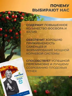 Удобрение Осень 1 кг Фертика