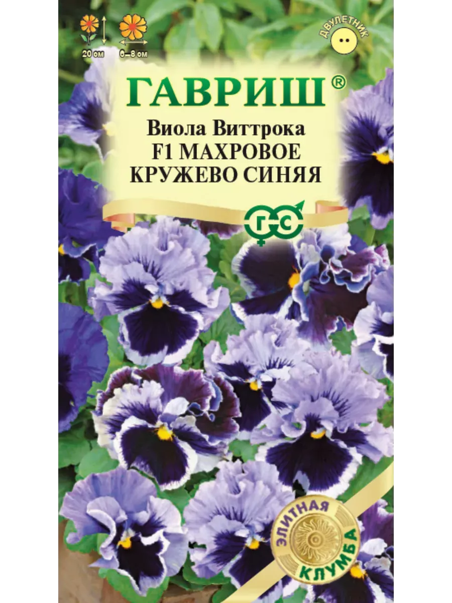 Виола виттрока махр круж синяя