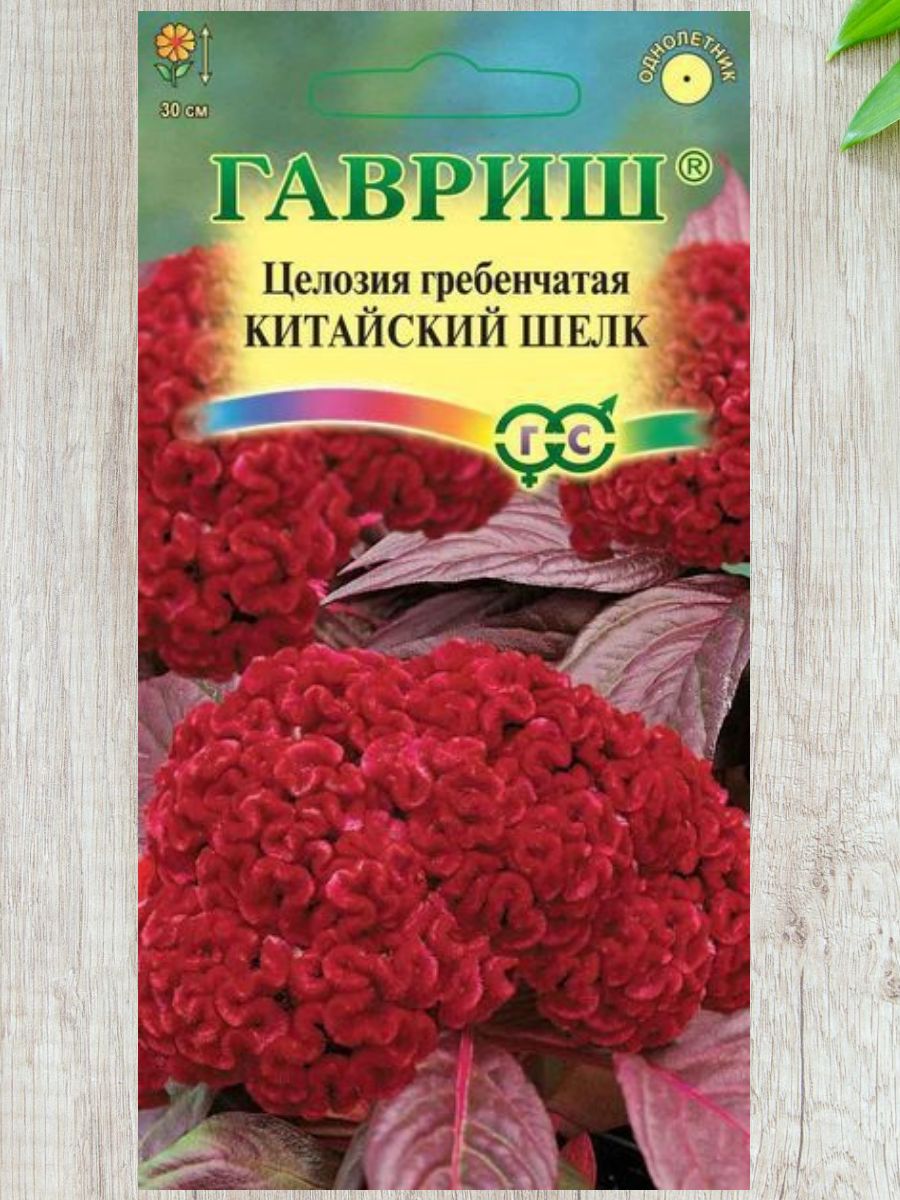 Целозия Китайский шелк