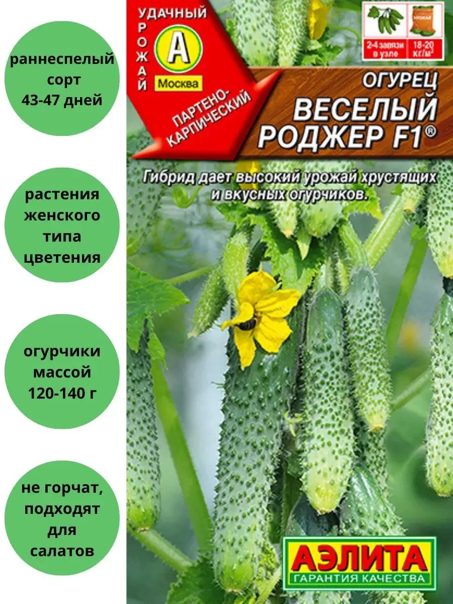 Огурец веселый роджер