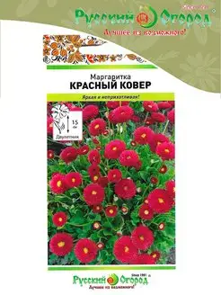 Маргаритка красный ковер