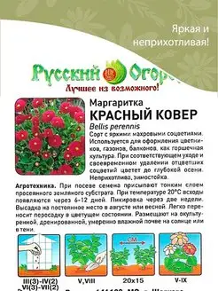 Маргаритка красный ковер