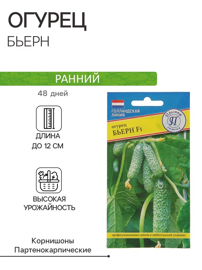 Огурец бьерн