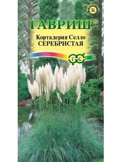 Кортадерия серебристая