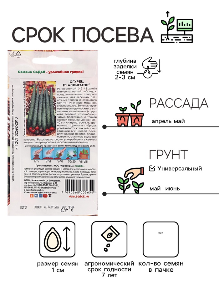 Огурец аллигатор