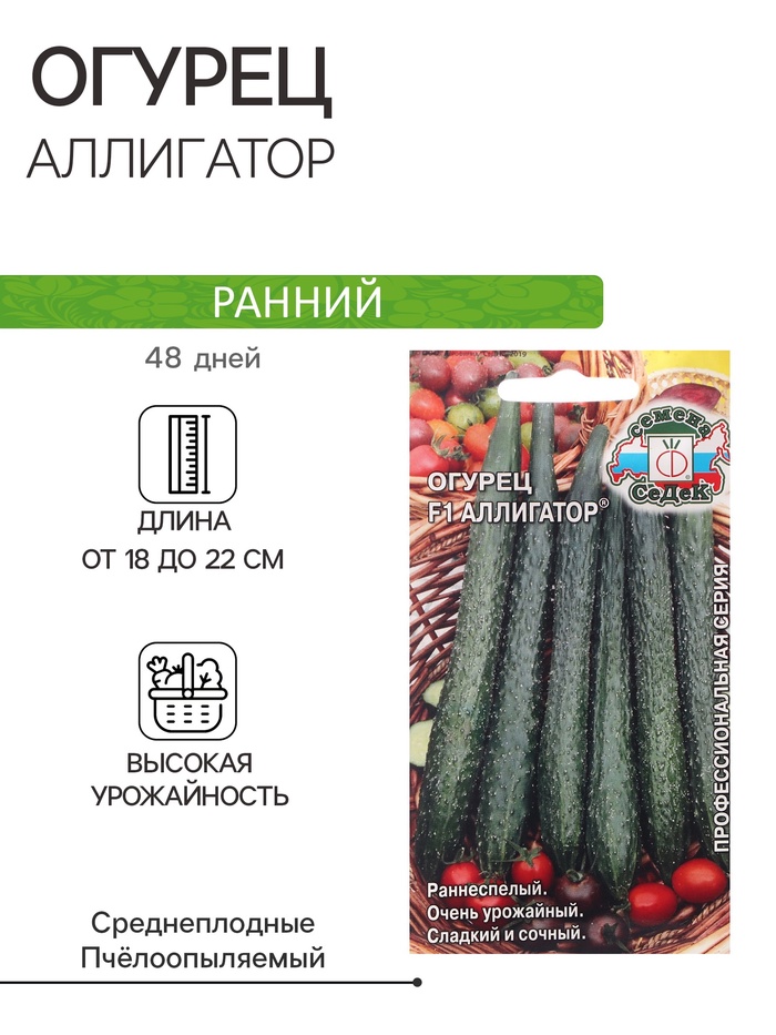 Огурец аллигатор