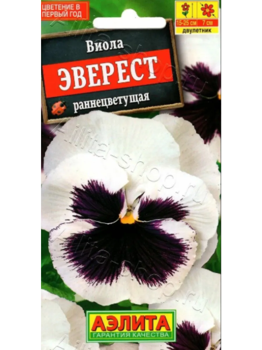 Виола эверест