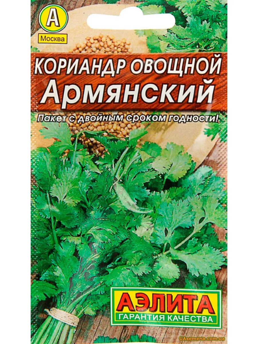 Кориандр армянский