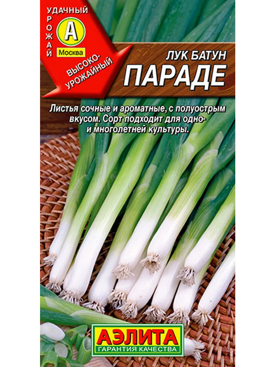 Лук батун параде