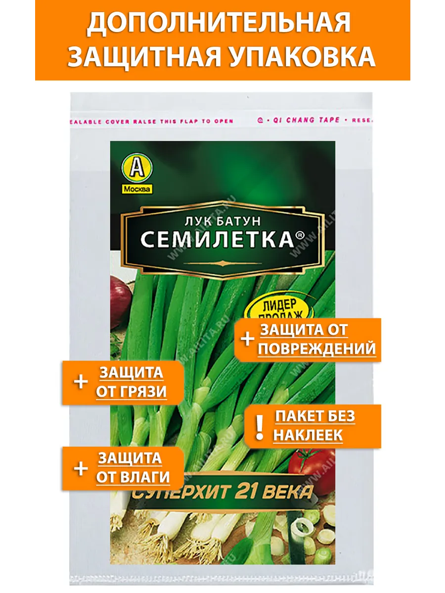 Лук батун семилетка