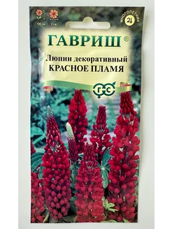 Люпин красное пламя