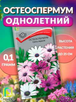 Остеоспермум смесь