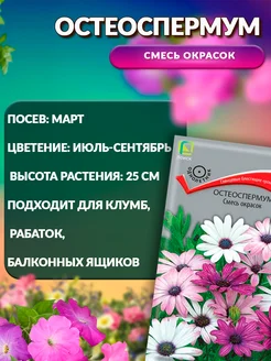 Остеоспермум смесь