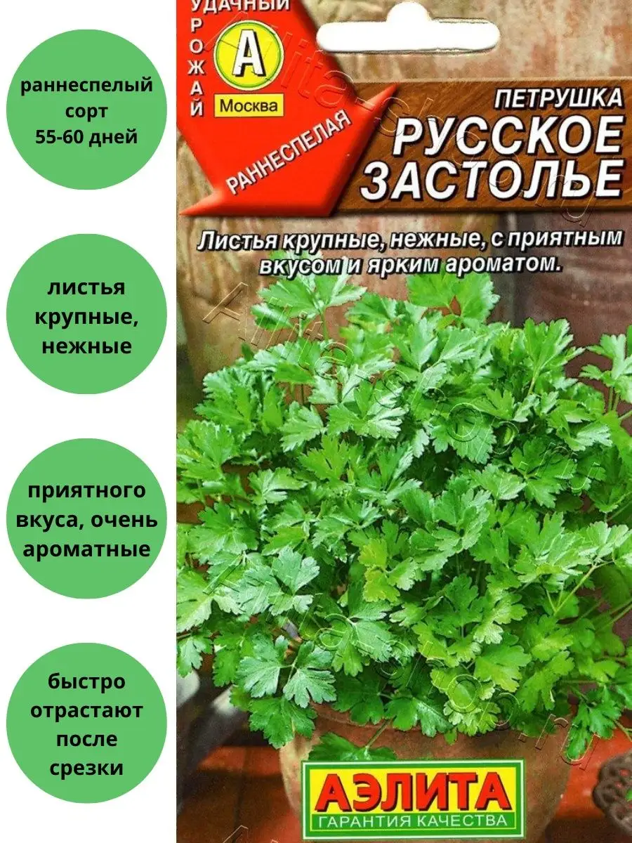 Петрушка листовая русское застолье