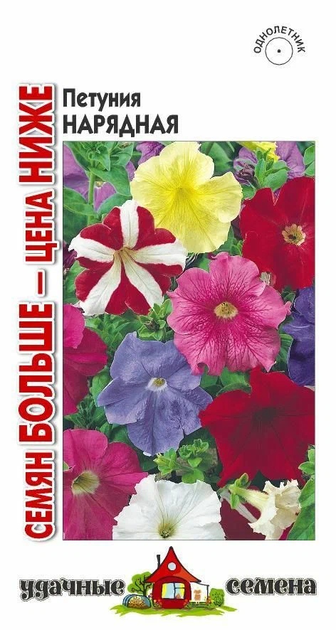 Петуния нарядная мнгцв.