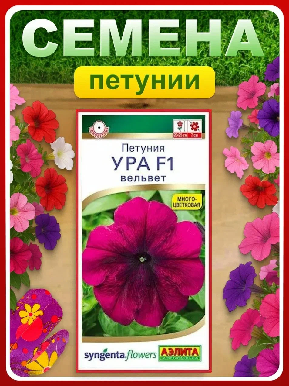 Петуния ура вельвет