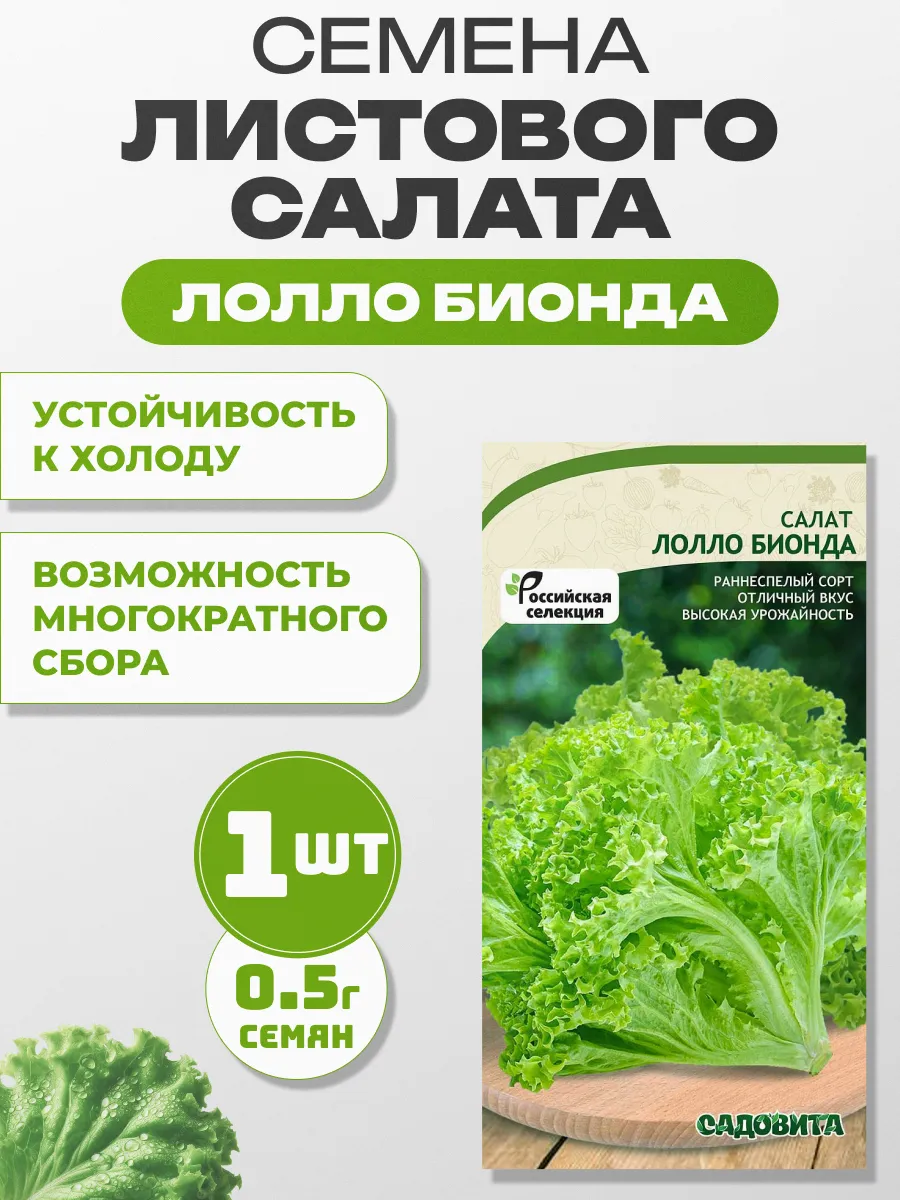 Салат лолло бионда