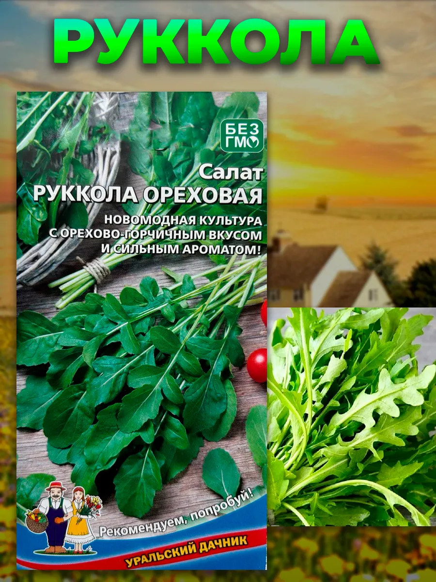 Салат рукола ореховая