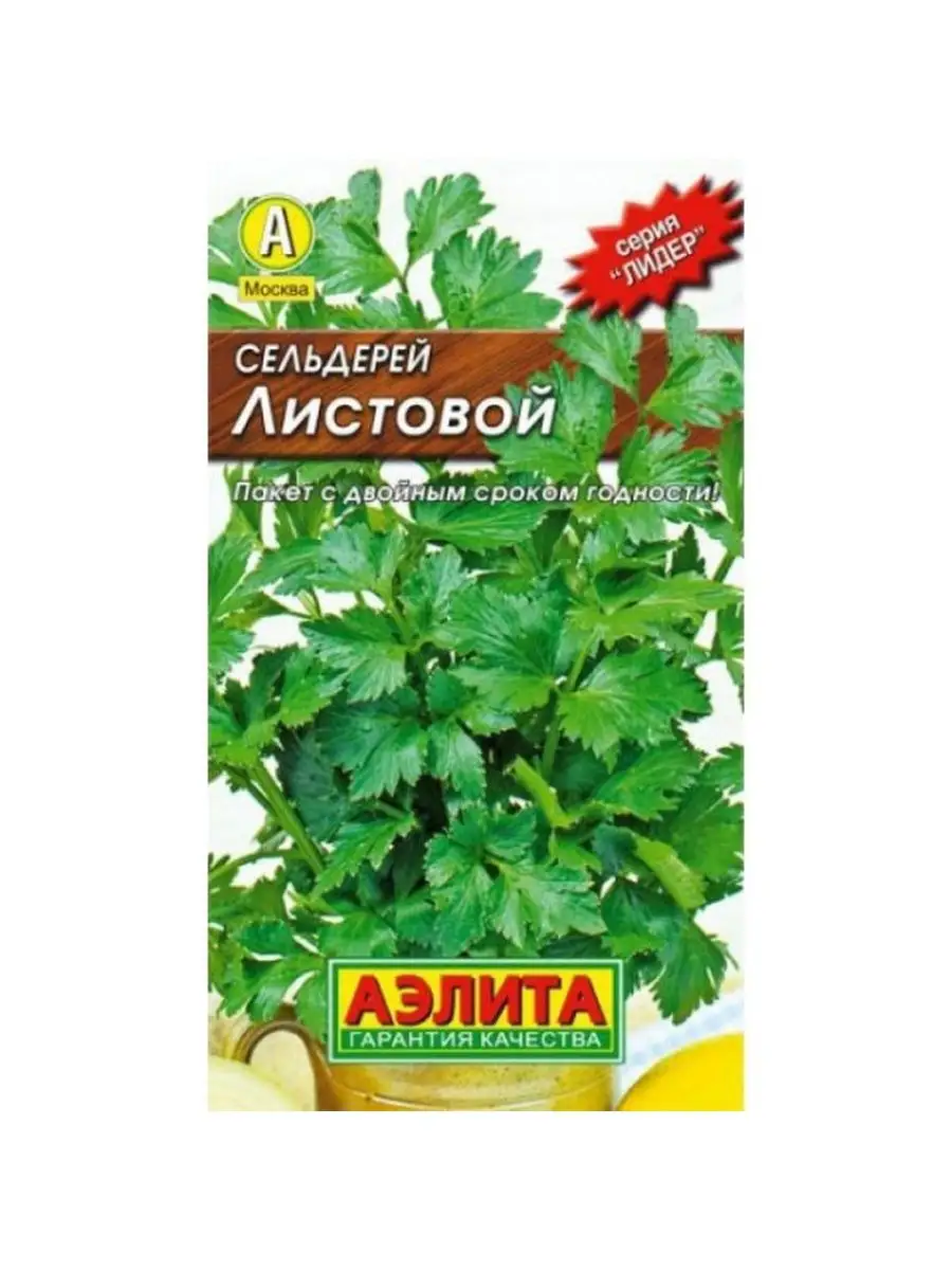Сельдерей листовой