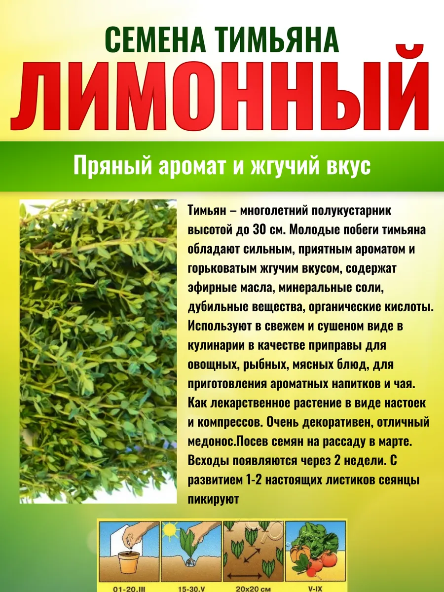 Тимьян лимонный