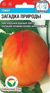 Томат загадка природы
