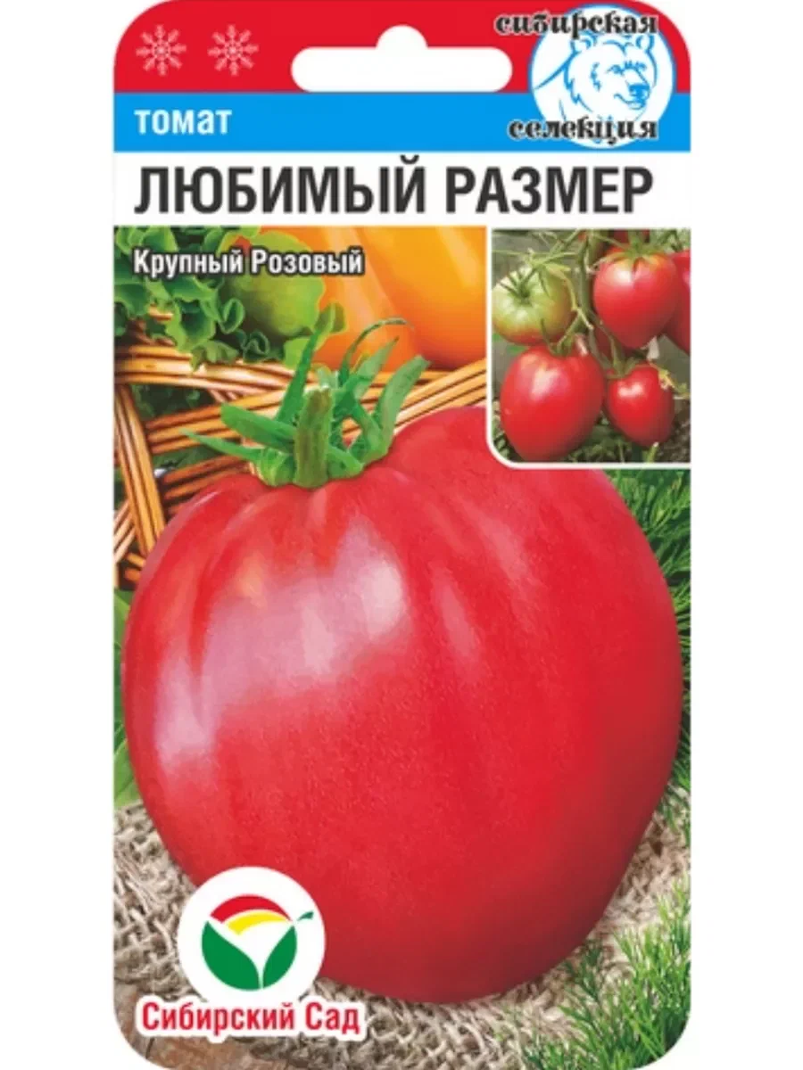 Томат любимый размер