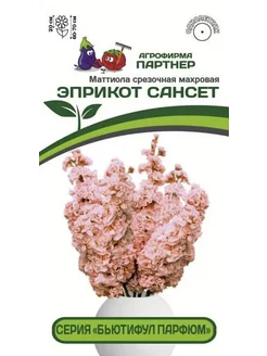 Маттиола бьютифул парфюм эприкот сансет