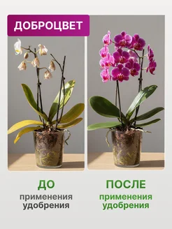Биогумус 0,25 л доброцвет д/орхидей