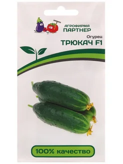 Огурец трюкач партнер
