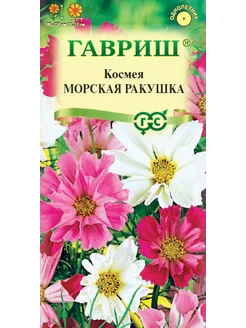 Космея морская ракушка