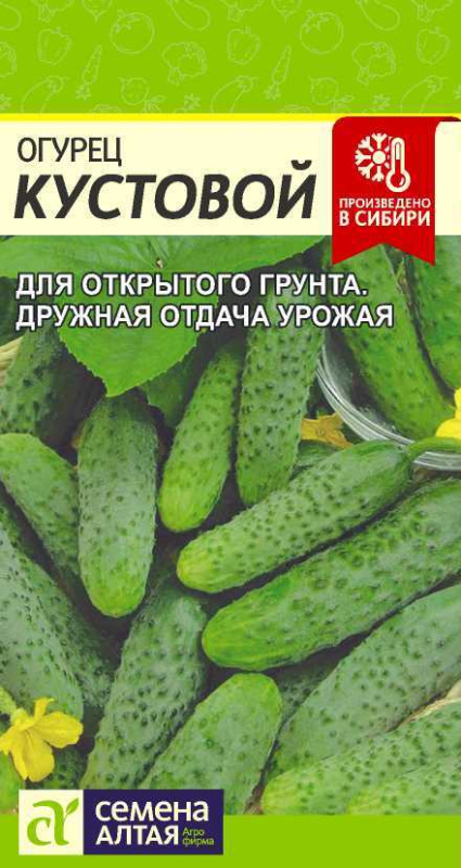 Огурец кустовой сем алт