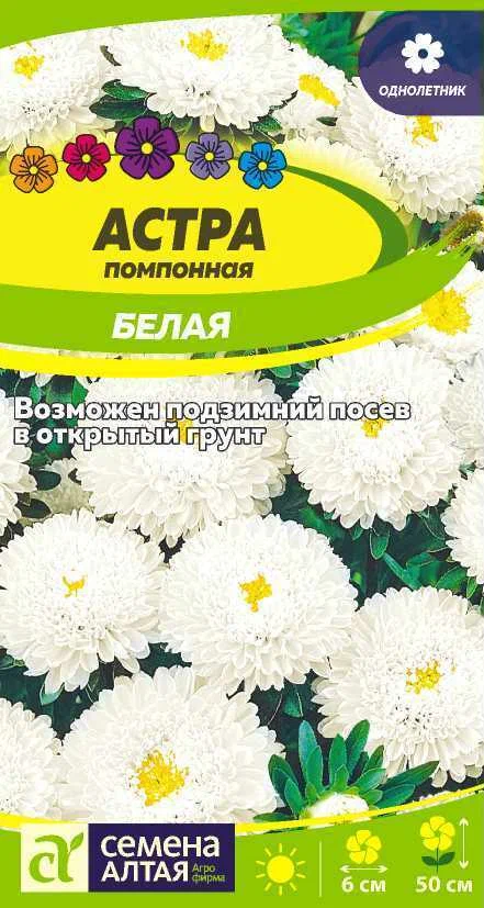 Астра помпонная белая сем алт