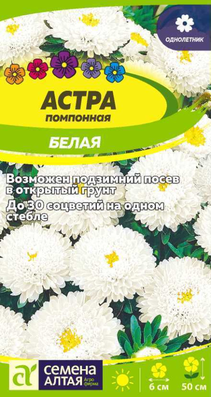 Астра помпонная белая сем алт