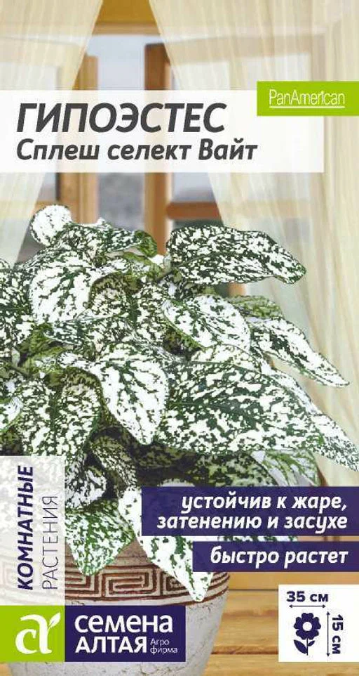 Гипоэстес сплеш вайт сем алт