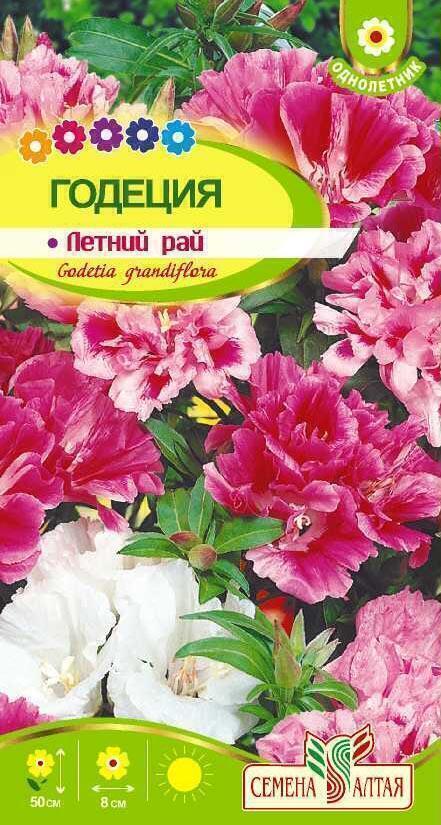 Годеция летний рай сем алт