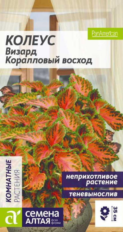 Колеус визард корал восход сем алт