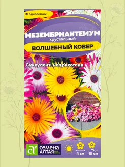 Мезембриантемум волшебный ковер сем алт