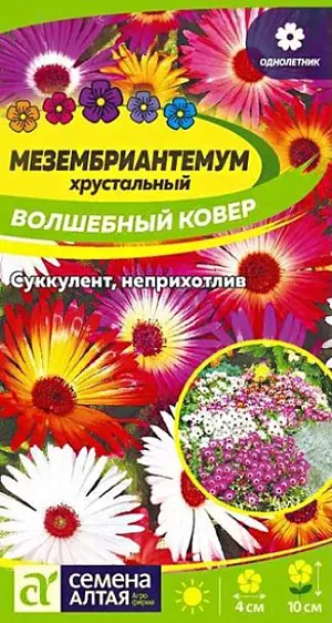 Мезембриантемум волшебный ковер сем алт