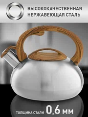 Чайник нерж 2,5 л 0600