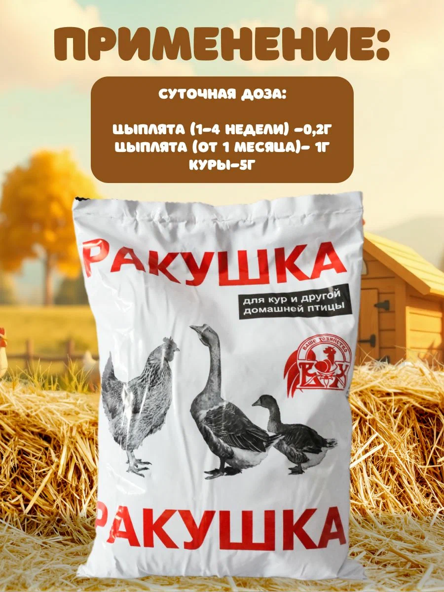 Ракушка 1 кг