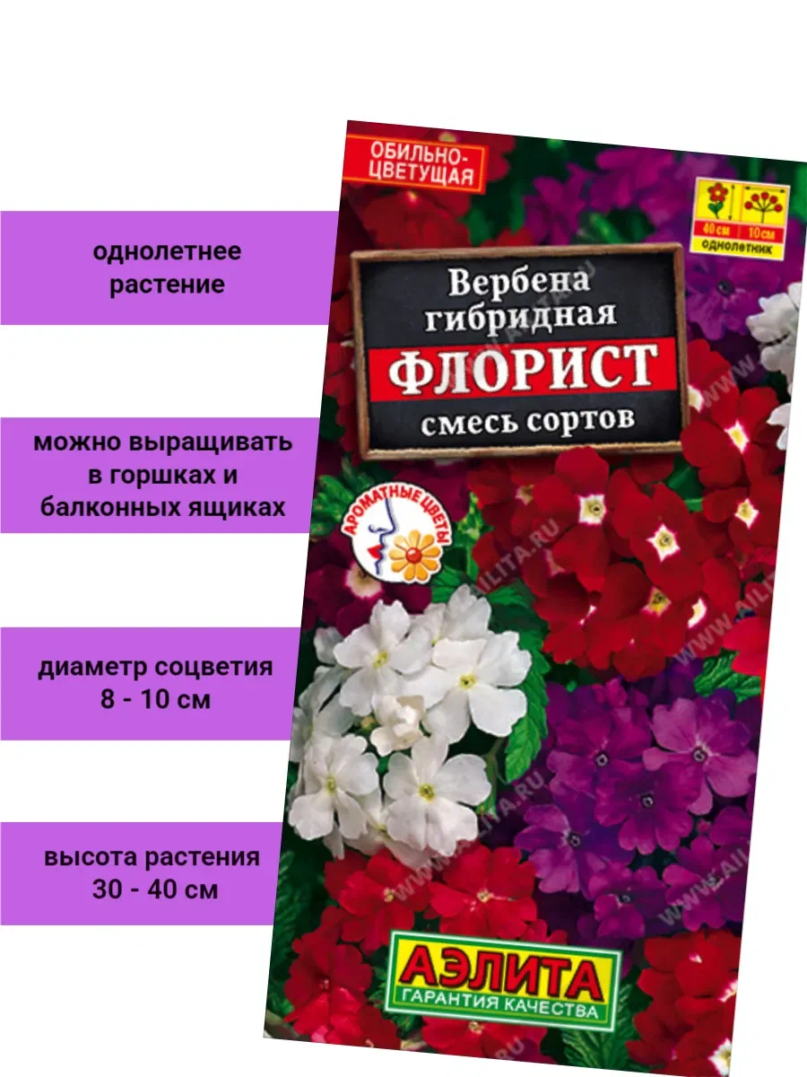 Вербена мечта флориста смесь цвет сад