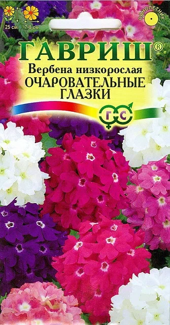 Вербена очаровательные глазки гав