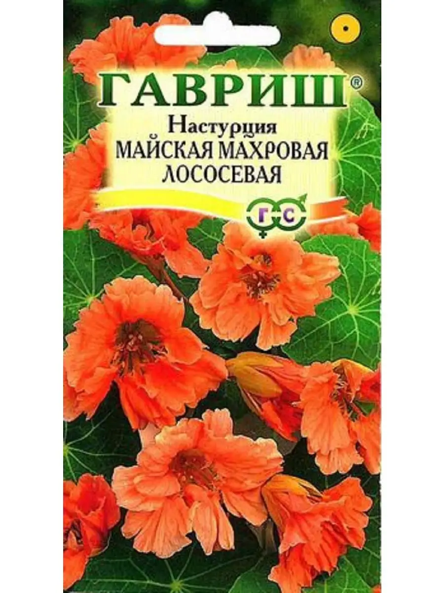 Настурция лососевая майская махровая гав