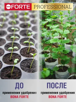 Бона форте 100гр д/ком и садовых растений