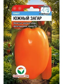 Томат южный загар сибсад