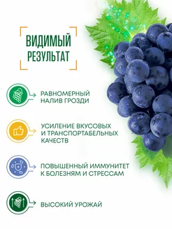 Удобрение д/винограда 30 гр листория